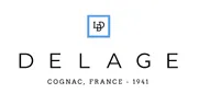 Logo Experience by DELAGE