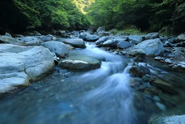BIOMAE : photo 1